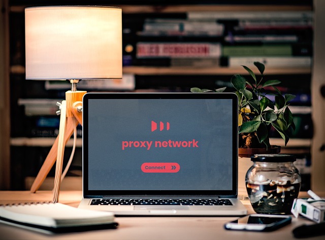 ip rotation proxy network