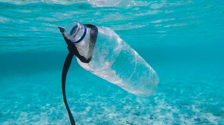 leveraging AI to reduce plastic